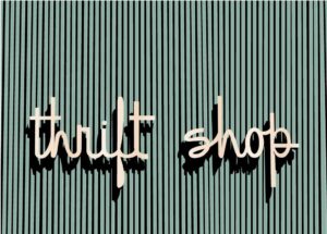 shop from thrift shop for home decor