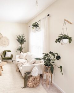 plants for home decor